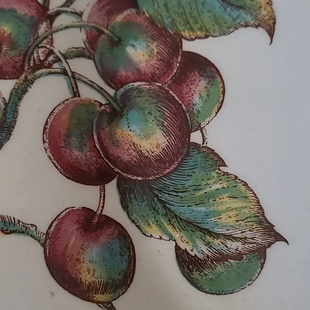 PIER 1 MACINTOSH Earthenware Angleterre Fruit Round Dinner Plate and stand home
